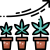 Cannabis Seeds for Cultivation
